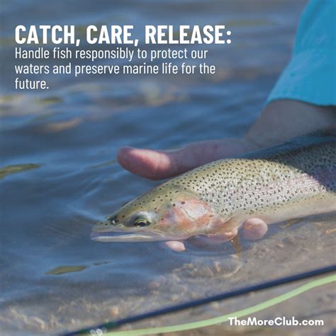 Sustainable Fishing Practices: How To Fish Responsibly.